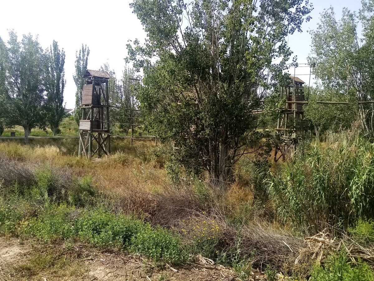 Eduardo CL (@edu_cl81) on Twitter photo Es patético el estado de semiabandono que tiene el Parque del Agua Luis Buñuel #Zaragoza con abandono total en las playas y el multiaventura
<a href="/LegadoExpoZgza/">Legado Expo Zaragoza 2008</a> <a href="/SoydeZaragoza/">Soy de Zaragoza</a> <a href="/ZGZDenuncia/">Zaragoza Denuncia</a> Es patético el estado de semiabandono que tiene el Parque del Agua Luis Buñuel #Zaragoza con abandono total en las playas y el multiaventura
<a href="/LegadoExpoZgza/">Legado Expo Zaragoza 2008</a> <a href="/SoydeZaragoza/">Soy de Zaragoza</a> <a href="/ZGZDenuncia/">Zaragoza Denuncia</a>