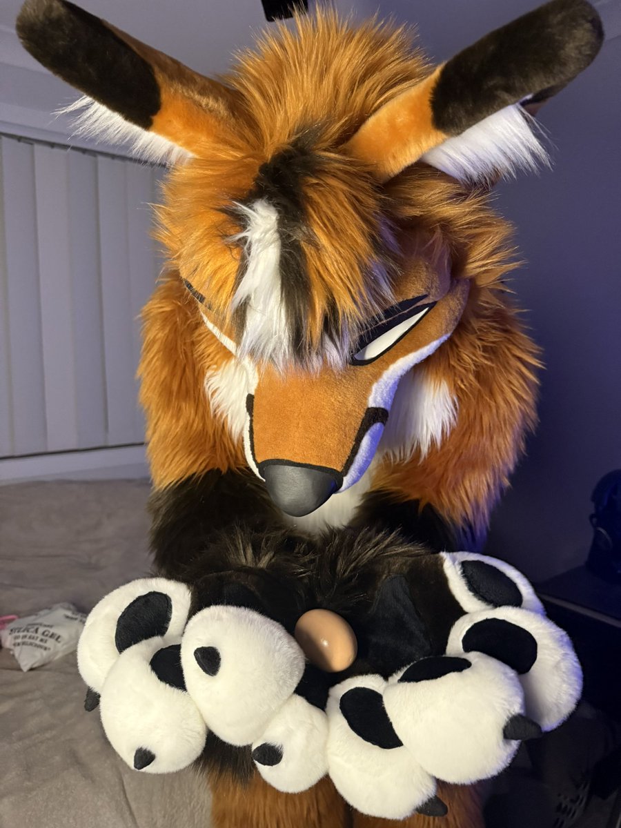 Charmis_fox's tweet image. This is “getting laid” right?…
Right guys?