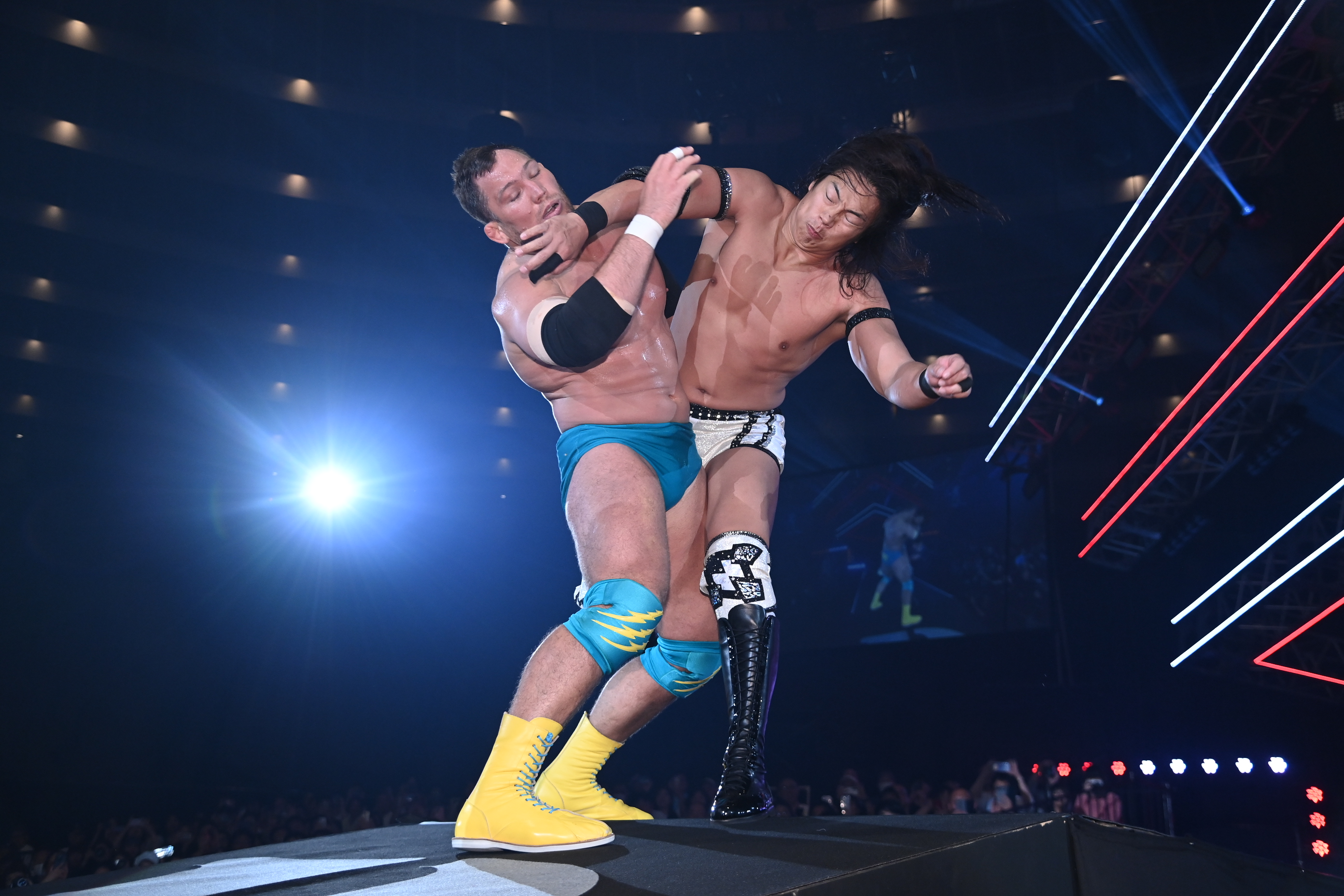 【予約販売品】 DDT ProWrestling on X:  絵画
