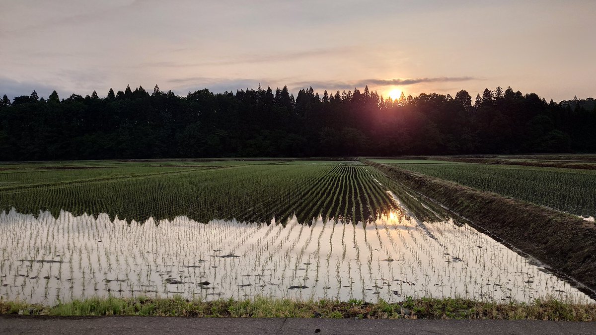 Reraula_PR's tweet photo. 今年はめいっぱい地元(田舎暮らし)を味わって堪能して、リアルどうぶつの森するんだい！ https://t.co/vvZevkz5ob
