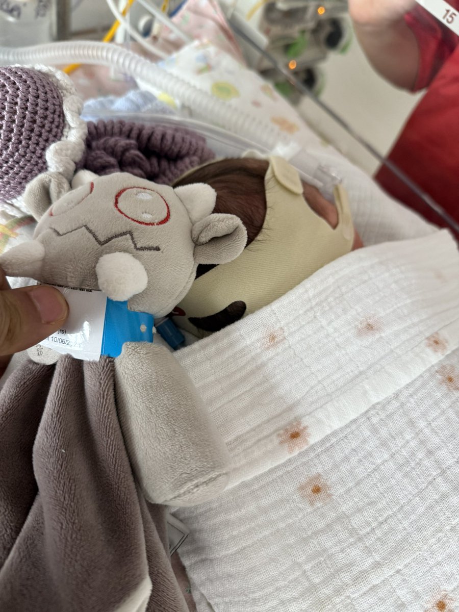 Le petit doudou Rubilax qui aide ma fille à s’en sortir ! C’est tout un symbole fort qui illustre ce qui m’unit à Ankama. Merci à tous pour vos messages, grâce à votre amour ma fille a traverser le plus dur, elle se remet petit à petit. De la part de toute notre petite famille,