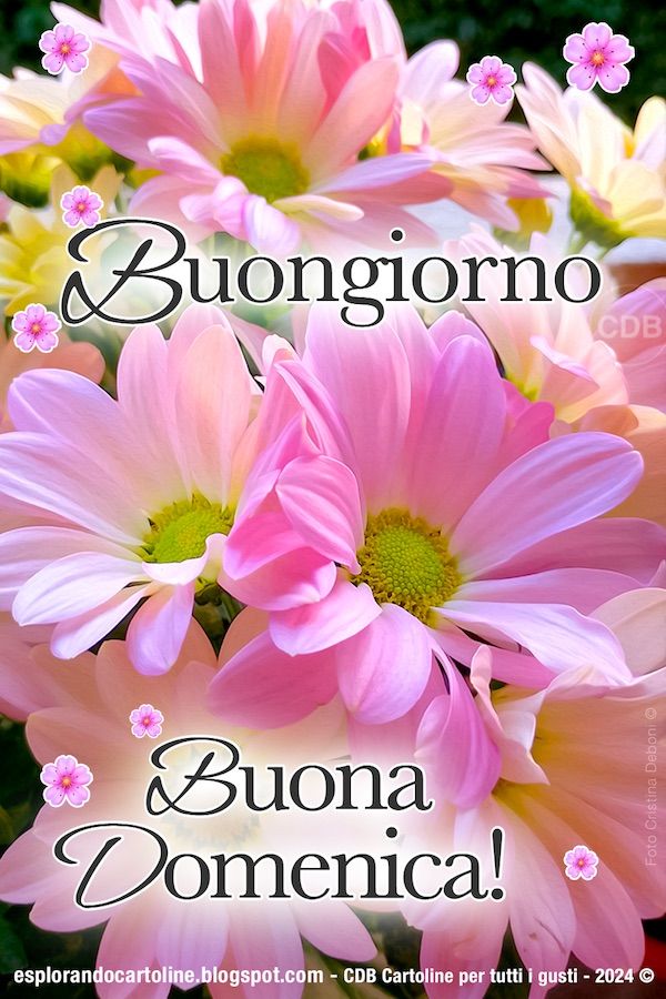 Marianna tweet media