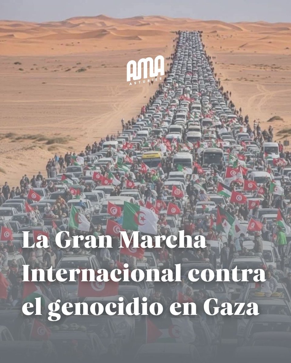 Donde los gobiernos de todo el mundo están siendo tibios e ineficaces la sociedad civil organizada actúa

Delegaciones de todo el mundo se reúnen desde en El Cairo para iniciar la Marcha a Gaza 🇵🇸

#BreakingTheSiege #FreePalestine #RupturaConIsrael #SumudToGaza #GlobalMarchToGaza
