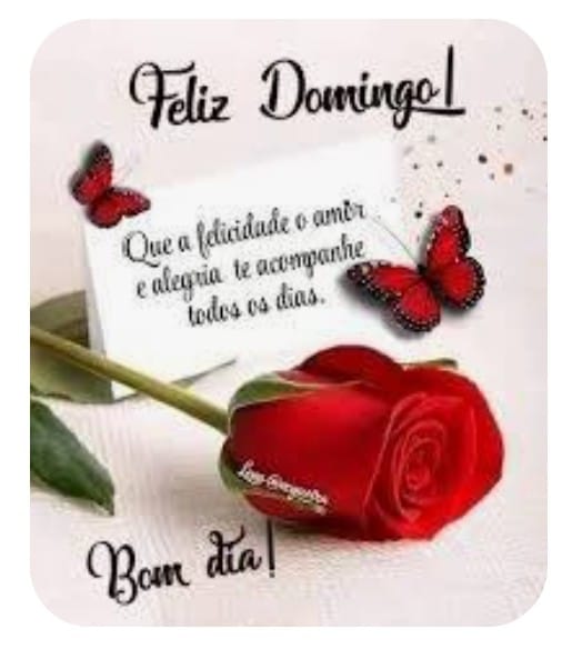 Eliane Haido (@elianehaido) on Twitter photo 