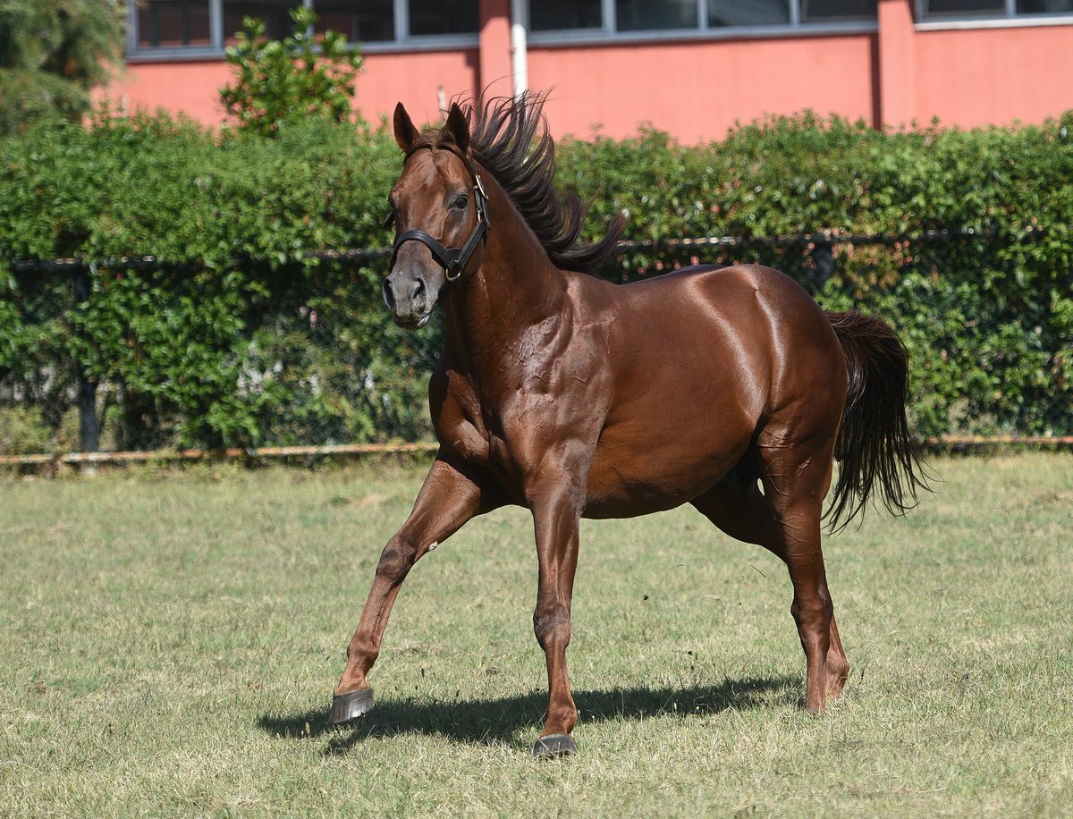 Senin de babalar günün kutlu olsun evlat. İyi ki varsın...