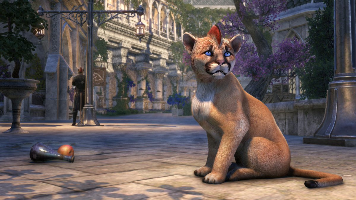 Der süße kleine Ja-Khajiit Raz ist jetzt im Kronen-Shop erhältlich und freut sich auf Abenteuer. Nehmt den schelmischen Khajiit überall hin mit! 😸 Mit ESO Plus erhaltet ihr ihn 20 % günstiger!