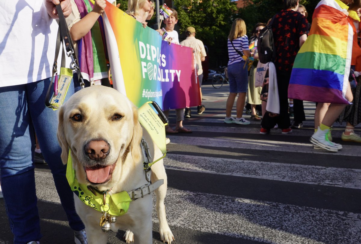 Love is love.🏳️‍🌈🧡

We were at #LjubljanaPride this weekend, marching as one with fellow diplomats behind #DiplomatsforEquality banner. Stronger together, prouder together.💙

Because everyone, everywhere, should be #EqualSafeFree.

#pride #prideparade #pridemonth