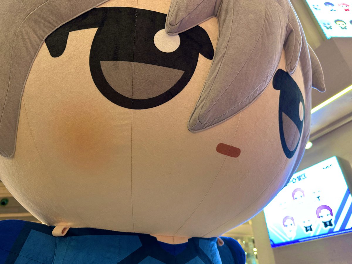 TTK_0414's tweet photo. 大きいぬい https://t.co/vRPvBysibL