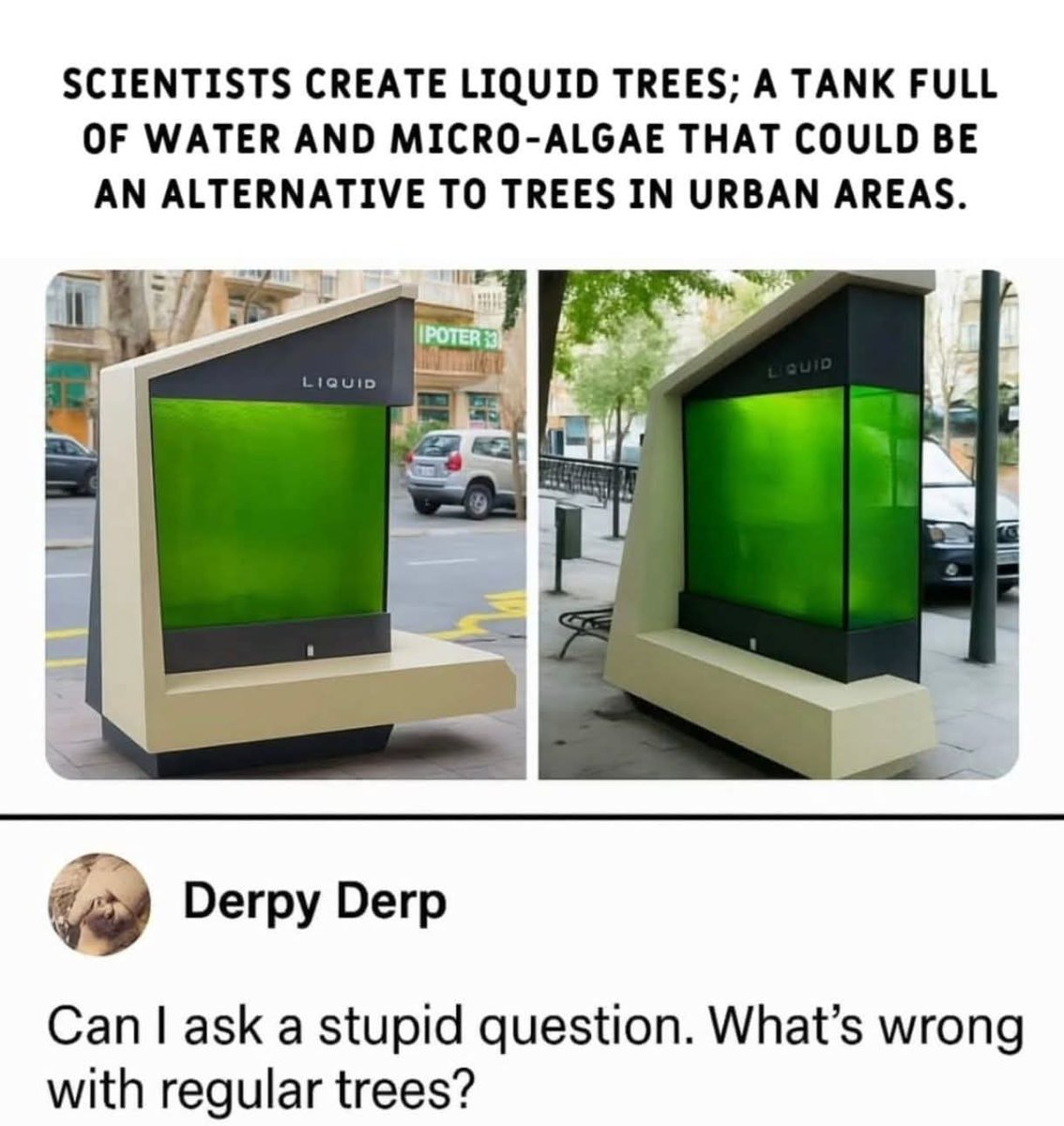 That's the question! 🤣🤣🤣