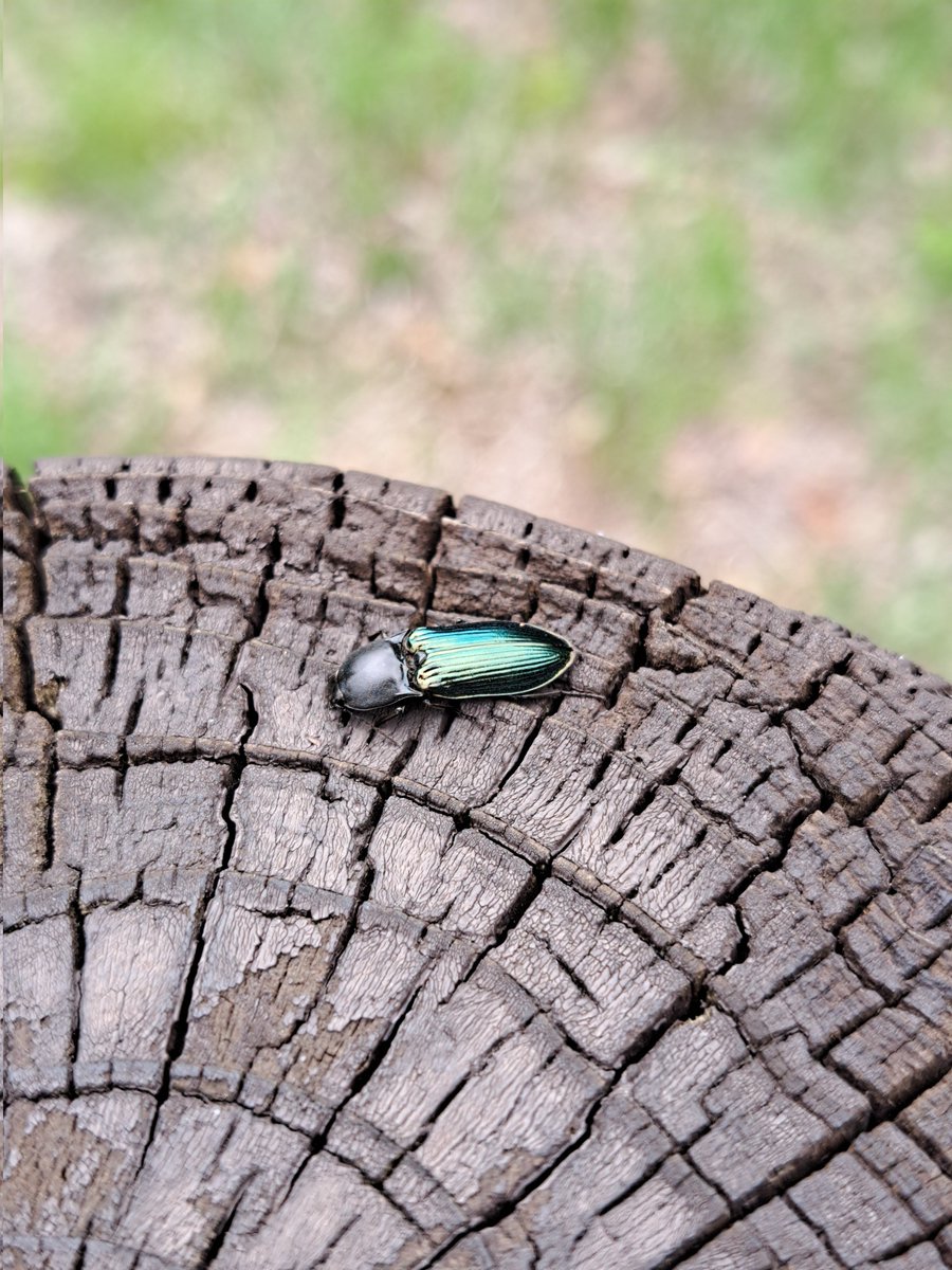 午前中は曇りだったけど、午後は晴れた
途中で獣臭したから怖かった