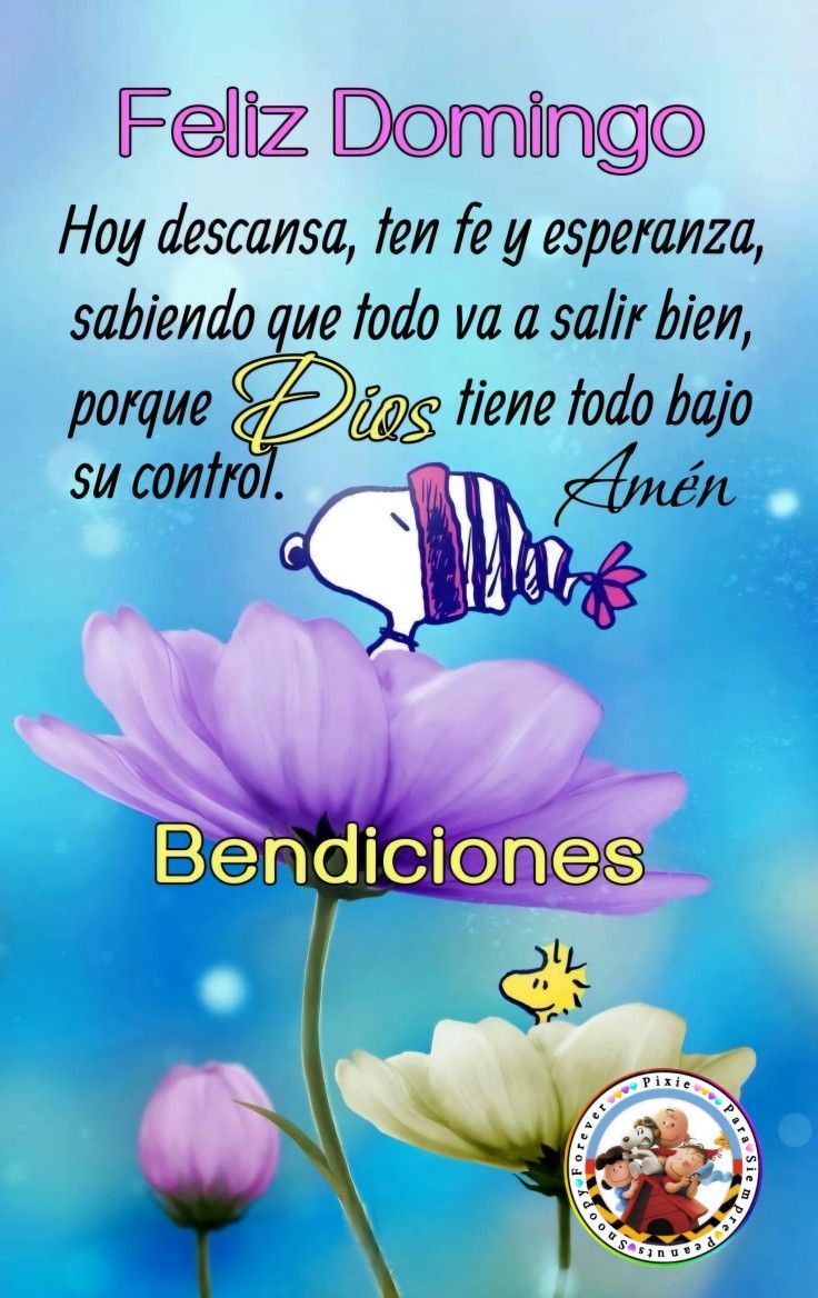 Buenos días ⛅💕☀
Bendecido domingo 
¡Gracias por existir!