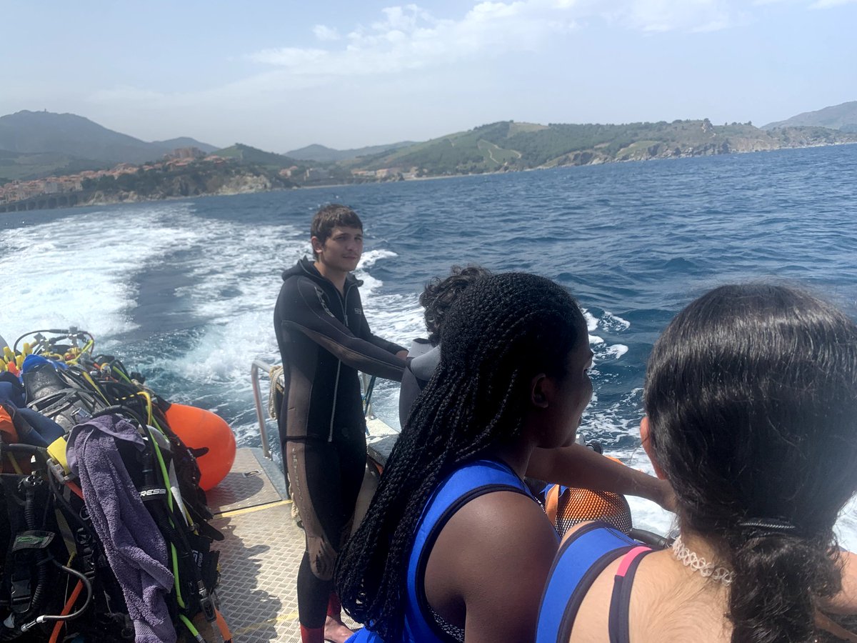 Ariane ROZENBLUM tweet media