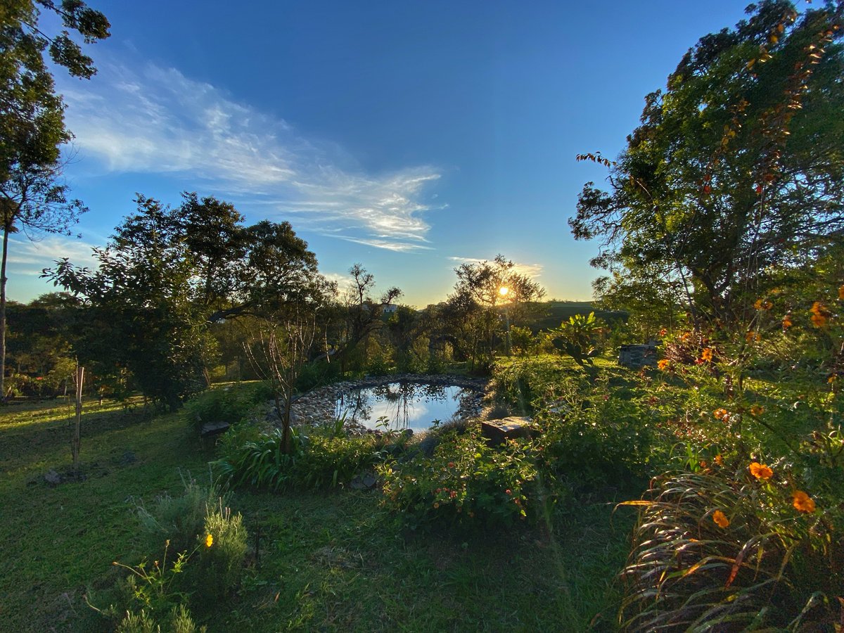 Good morning, happy Sunday!