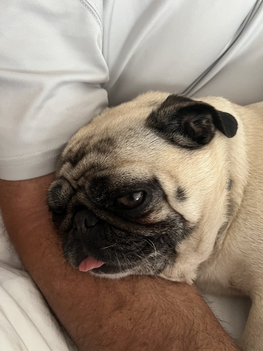 Laying in my dad’s arms for Father’s Day. He loves it. Happy Father’s Day to all of the dads. 😍