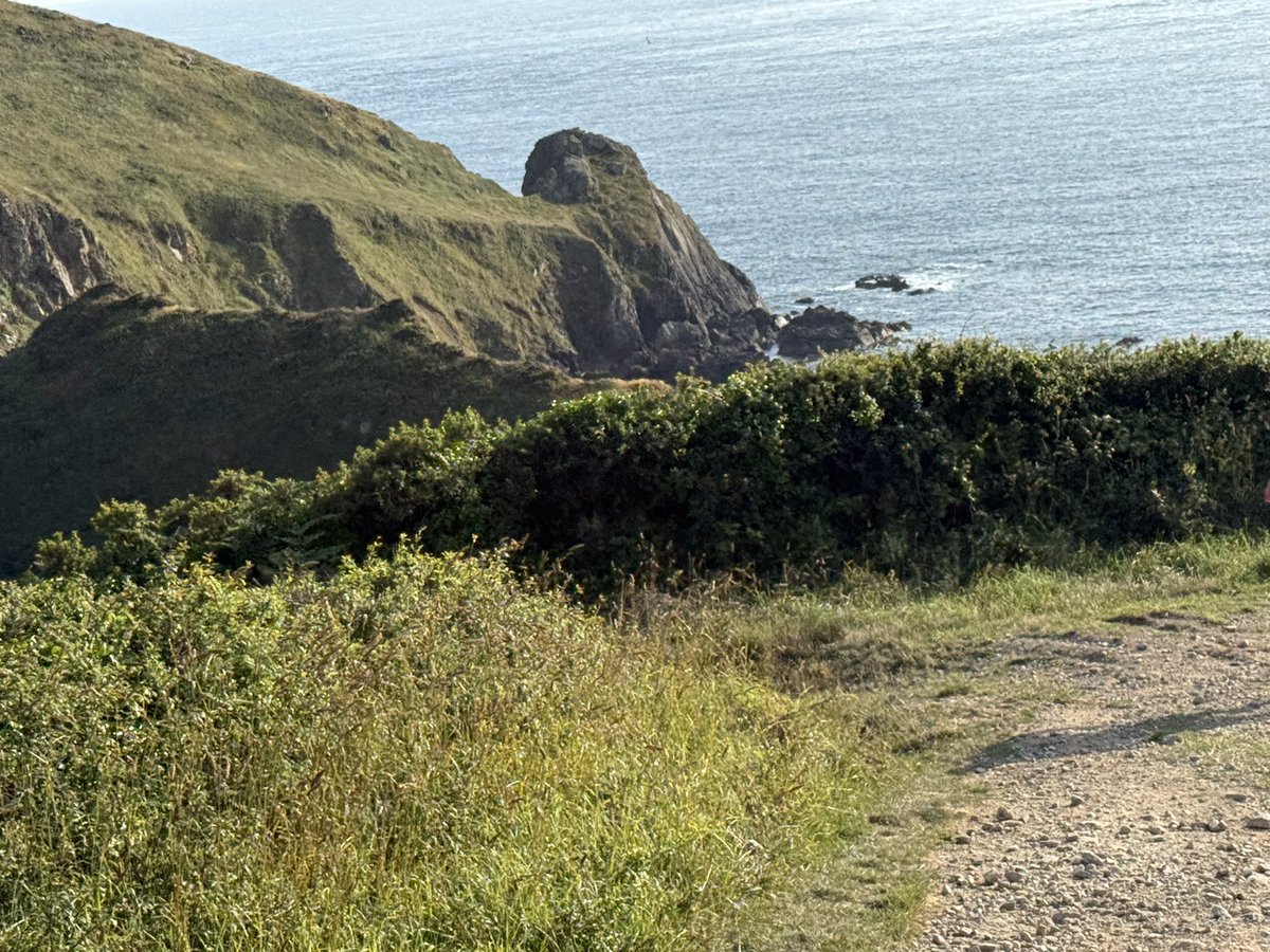 DMARGUERITTE's tweet photo. Le trail de la #barjo hier soir. Près de 28 kms et 1000 mètres de dénivelé dans les paysages exceptionnels du @leCotentin au cœur de la Hague, de ses sentiers du littoral, ses villages, ses chemins et ses côtes.
3h25 jusqu’au bout de l’effort😉!
Merci aux organisateurs et aux 230 bénévoles qui font rayonner le #cotentinuniqueparnature