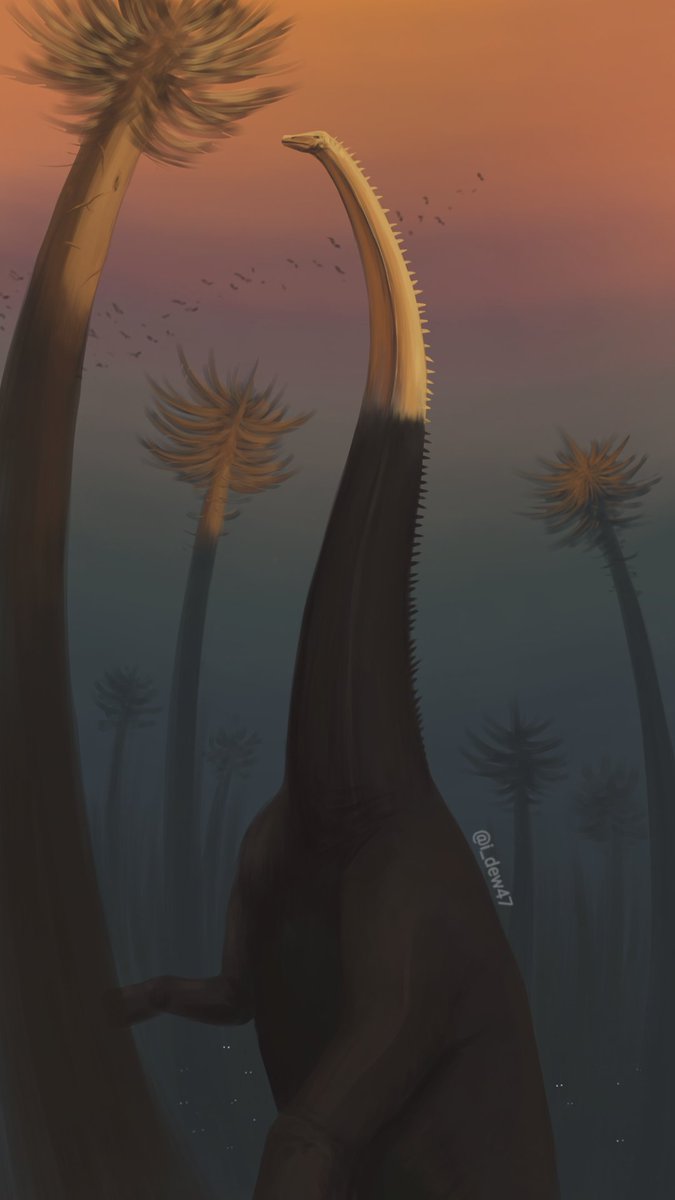 Supersaurus reaching for the leaves