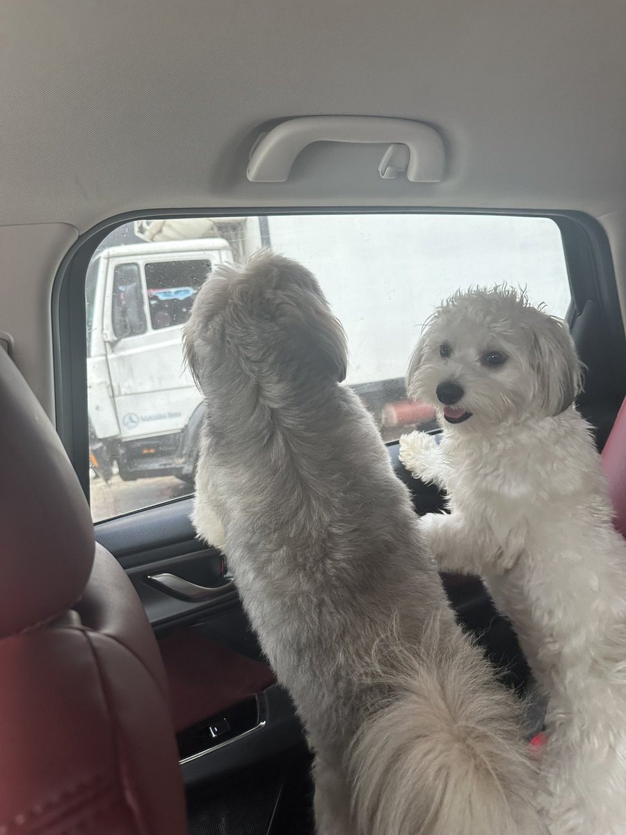 I don too try for these two ingrates.