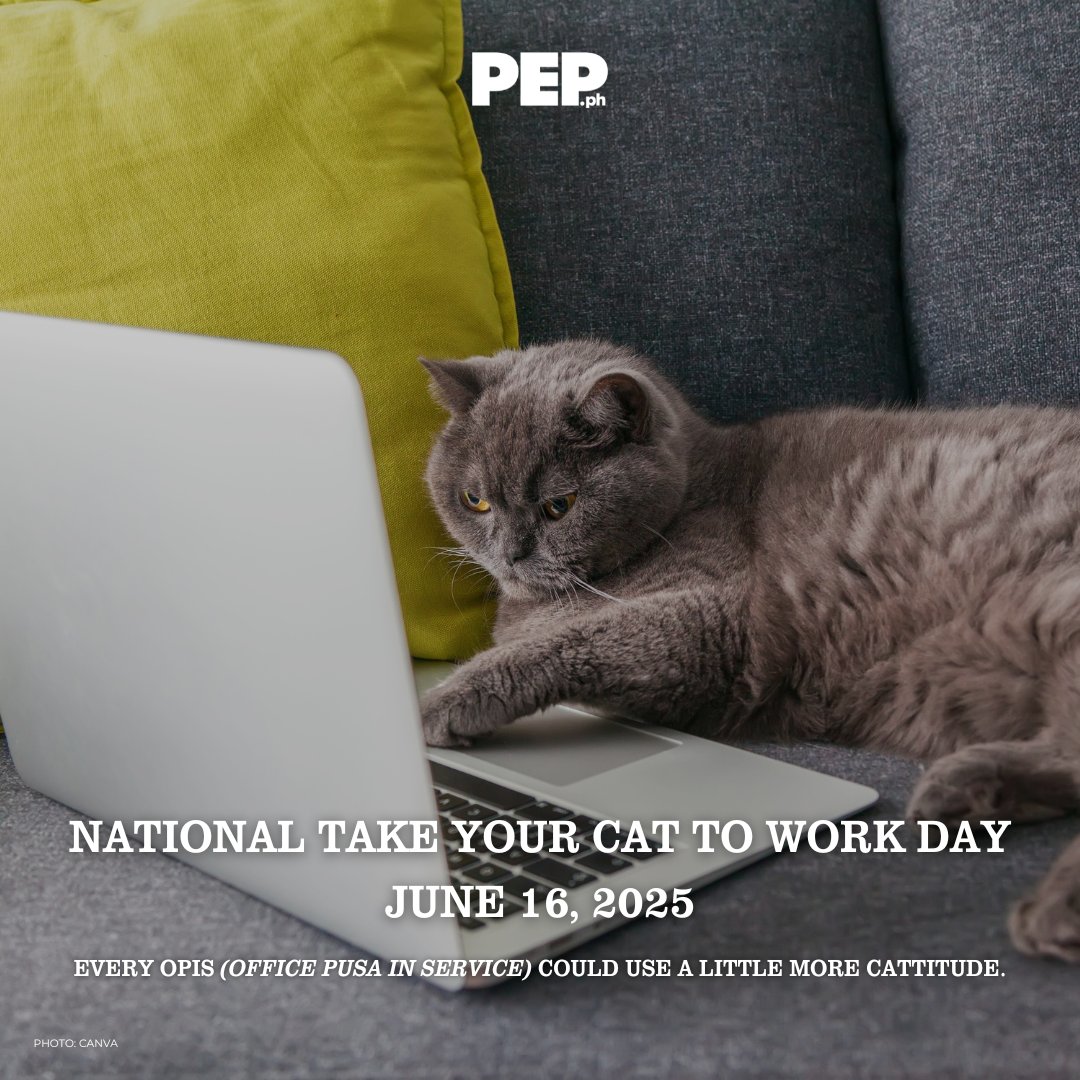 PEPalerts's tweet image. When your purr-fect coworker shows up with zero deadlines but 100% attitude. 🤨 

Happy National Take Your Cat to Work Day! 🐱 

Because every OPIS (Office Pusa In Service) could use a little more cattitude. 💅 

#NationalTakeYourCattoWorkDay #PEPEvents #PEPPets