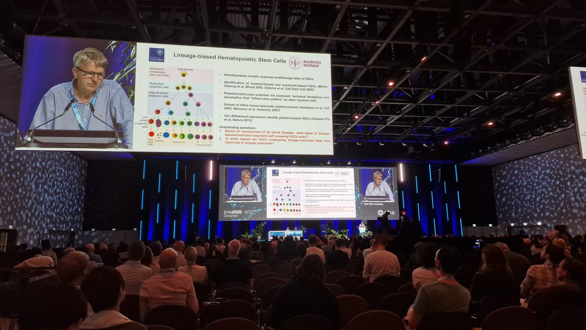 LArranz Lab (@lorena_arranz) on Twitter photo Stem cells and importance of in vivo models at the Presidential session of #EHA2025 💯
<a href="/EHA_Hematology/">European Hematology Association</a> #stemcells Stem cells and importance of in vivo models at the Presidential session of #EHA2025 💯
<a href="/EHA_Hematology/">European Hematology Association</a> #stemcells