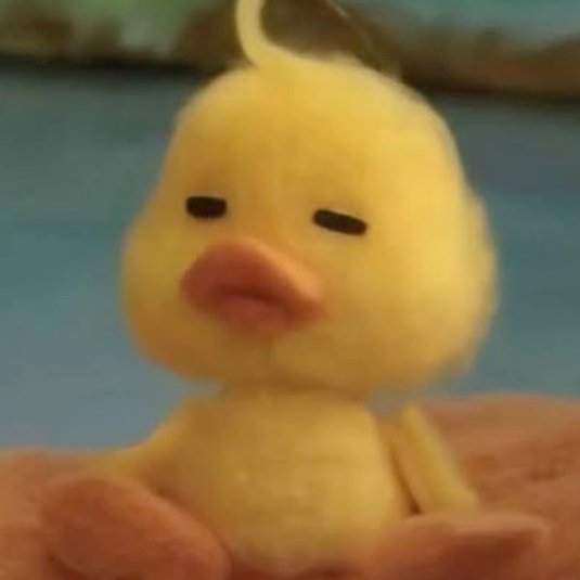 🐰うさぎじゃない、🐥アヒルの子です