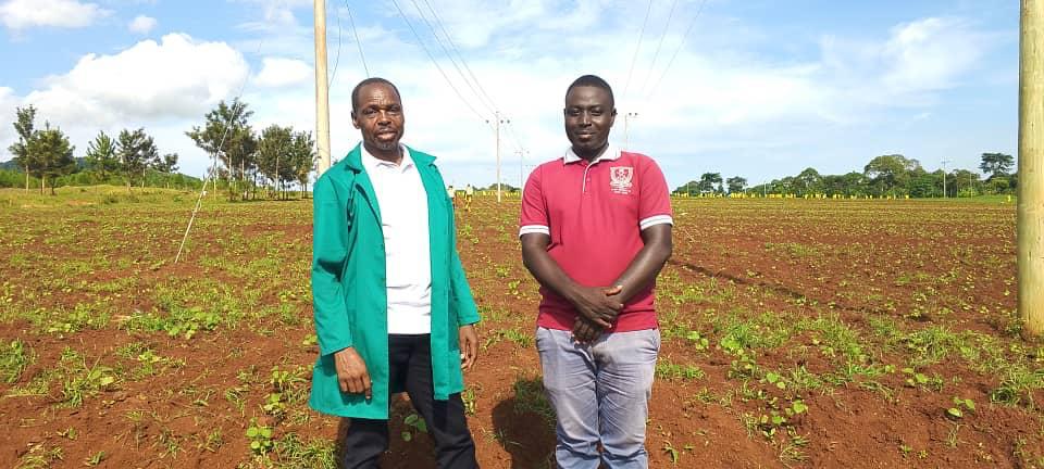 biofarm_UG's tweet photo. Supporting sustainable farming at Bugungu Prison Farms 🌿

Biofarm is making a difference—one institution at a time.

#Biofarm #UnodeAgro #2025Projects #SmartFarming #InstitutionalFarming #UgandaFarms https://t.co/Wdw7hF4C5F