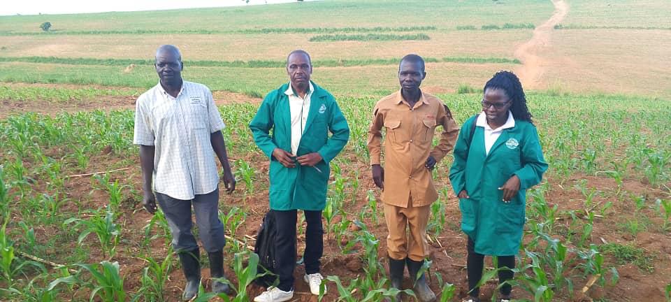 biofarm_UG's tweet photo. Supporting sustainable farming at Bugungu Prison Farms 🌿

Biofarm is making a difference—one institution at a time.

#Biofarm #UnodeAgro #2025Projects #SmartFarming #InstitutionalFarming #UgandaFarms https://t.co/Wdw7hF4C5F