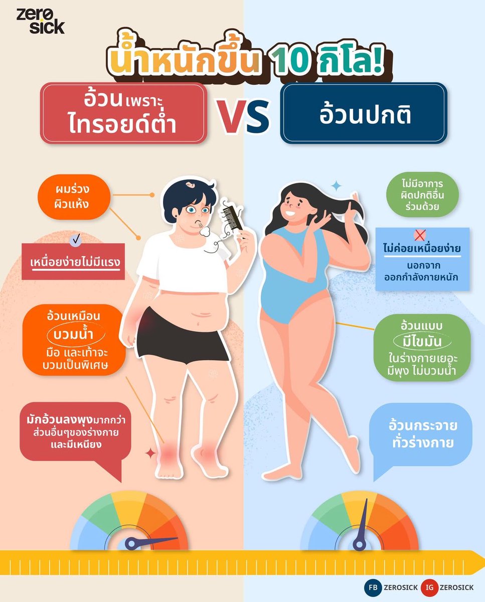 เอเวอร์เรส tweet media