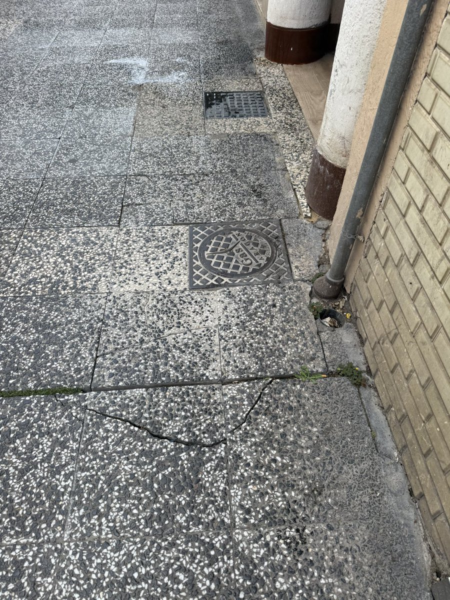 pabloabloblo's tweet photo. Queridísima @ChuecaNatalia excelentísima alcaldesa de @zaragoza_es si quieres hacer camino para todos, arregla los socavones del Coso anda, porque me acabo de caer al suelo con sus consecuentes moratones y se me ha roto la compra que acabo de hacer, gracias! https://t.co/035bsyXvEk