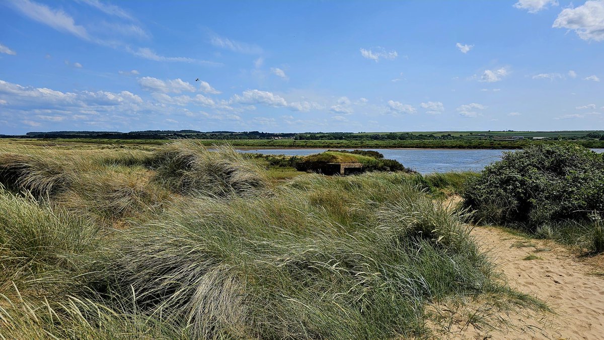 🚨 Officers from #OPRandall &amp; the Special Constabulary have been patrolling the #NorfolkCoast after damage to cordons protecting ground-nesting birds 🐦—which are protected by law.

📩 Info? Contact us.
#OPSeabird