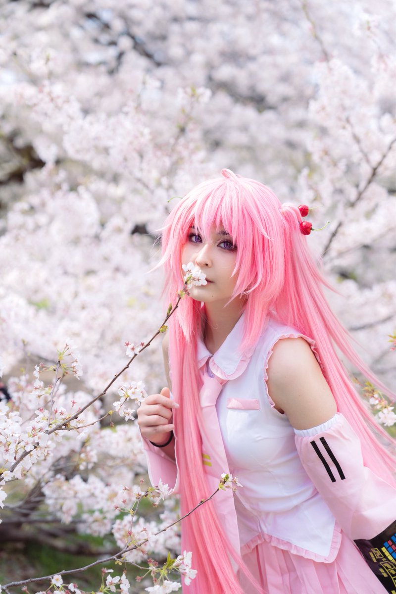Do you wanna see the Sakura with me, if not it’s cool 🥹 #sakuramiku #sakura #cosplay #japan