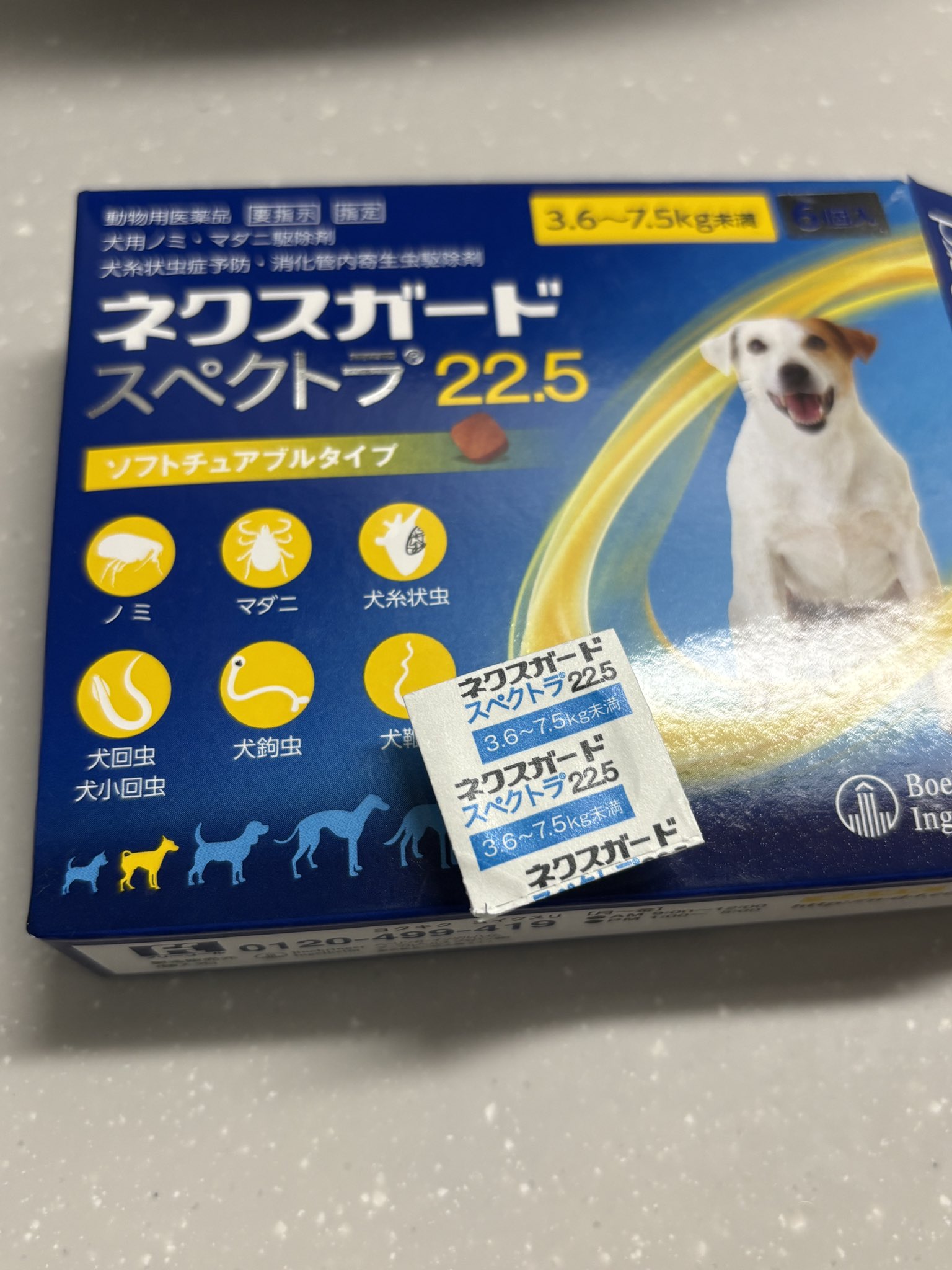フォンテーヌ BPM03 F2B
