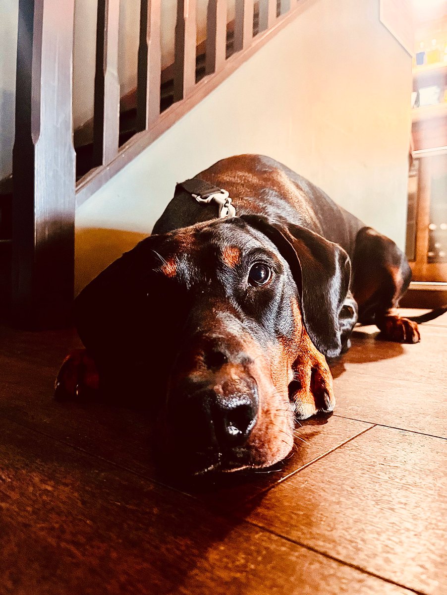 The Brewery Tap tweet media