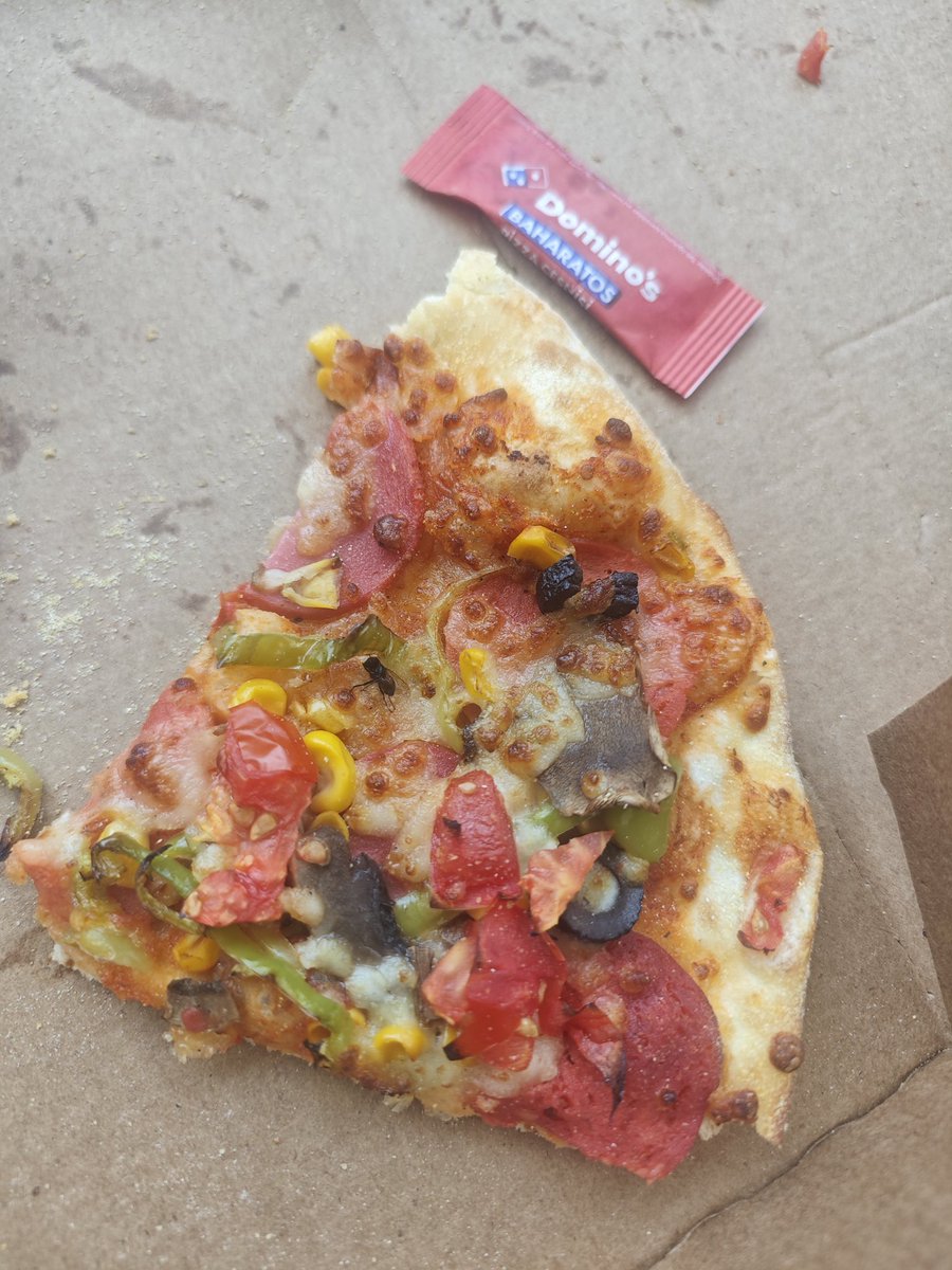 FKlncsan's tweet photo. Bol Malzemostan kastınız bu olduğunu düşünmüyorum bu konu hakkında var mı bir fikriniz ? @dominos #dominospizza #gıdaterörü https://t.co/gH9PToj9Ld