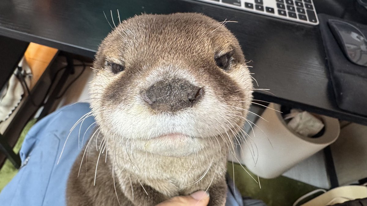 Minerfat1 tweet media