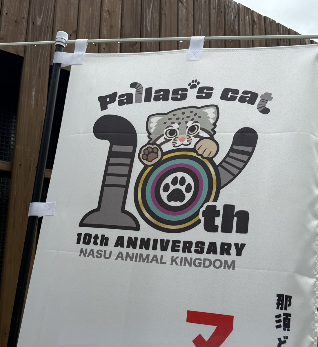 【お仕事情報】
那須どうぶつ王国様にて設置して頂いている顔出しパネルのデザイン担当させて頂きました！ぜひとも行かれた際は顔出ししていただけたら幸いです！そして園内沢山あってびっくりしましたが10周年ロゴ描かせて頂きました🙇‍♀️