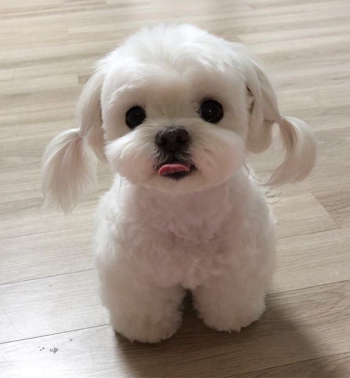 praewlovemarc's tweet image. แล้วไม่เหมือนตรงไหน เอาปากกามาวง🐶
#MARCKRIS