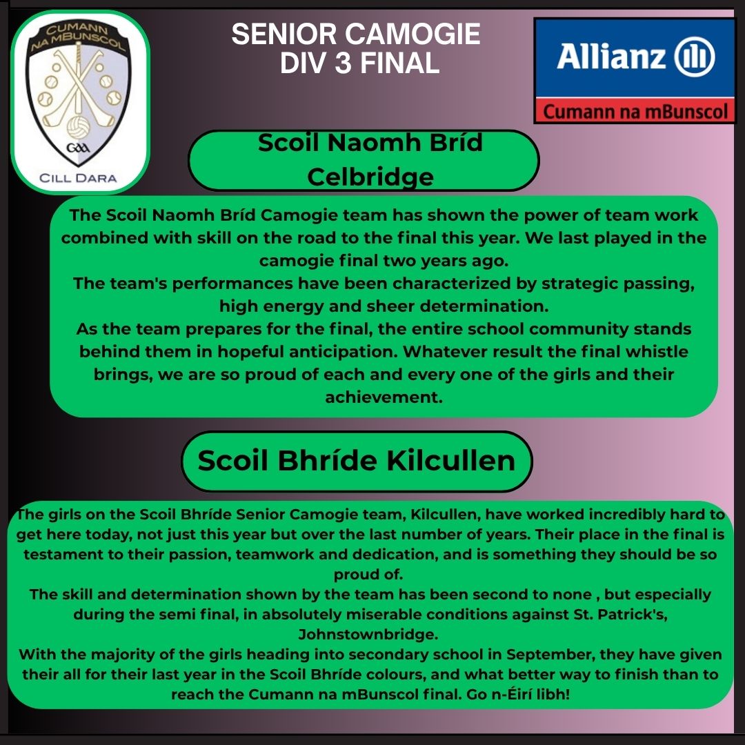 Cumann na mBunscol Chill Dara tweet media