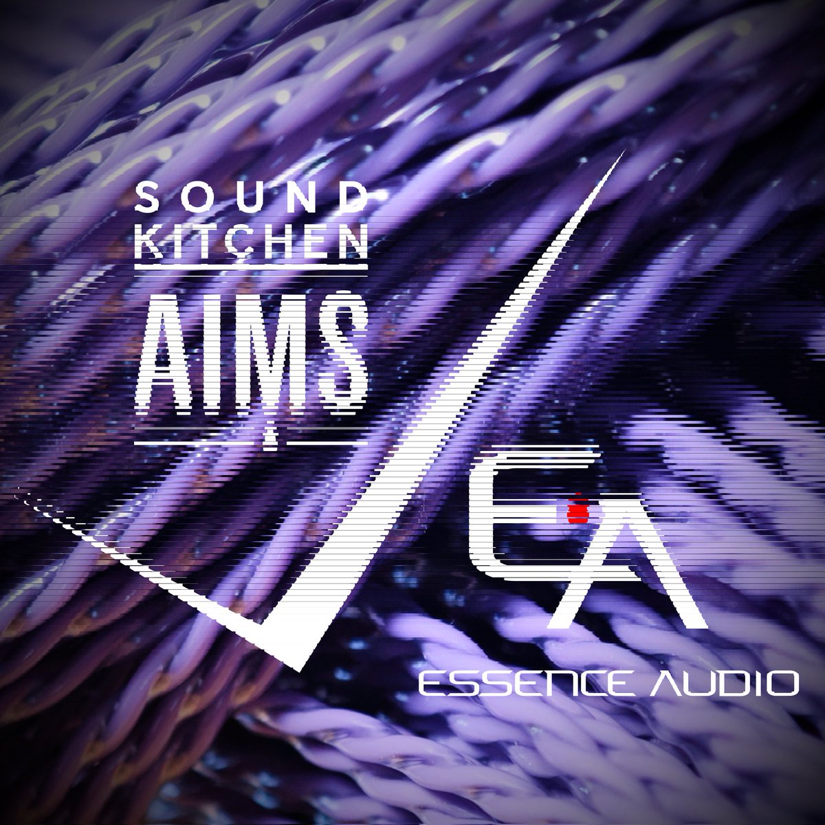 【OG Series 始動!】
6/21 秋葉原 SEEKBASE
AIMS×EAコラボケーブル"OG-01"の店頭受付を開始します🎉
🔜後日Web受付
さらに👉互いの強みを活かしたNew IC "OG-01 IC"初お披露目になります！

ご注文のタイミングにより納期は異なりますが、充分な本数を確保⭕
皆様にお届けできるよう最善を尽くします💫