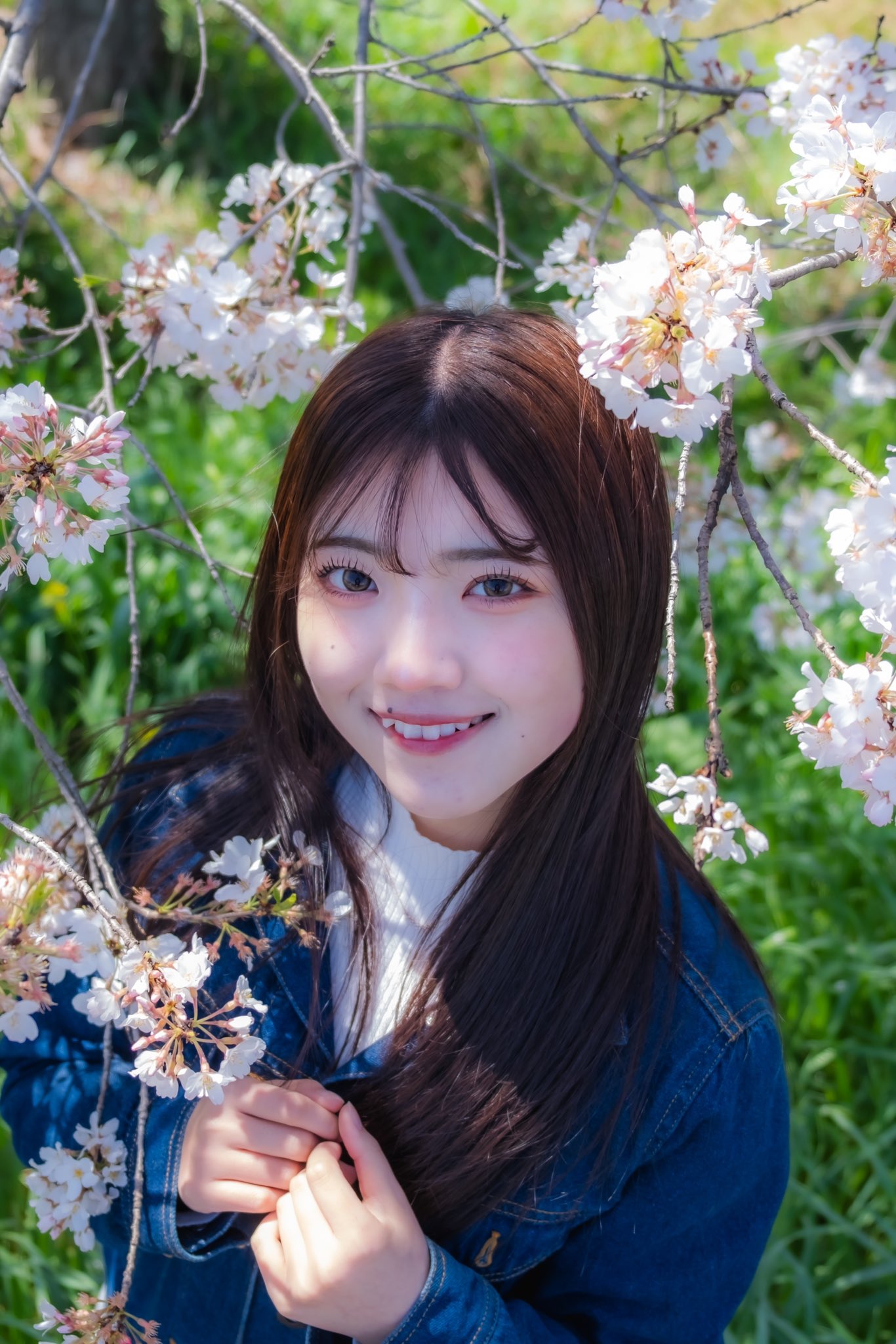 ★大人気商品★ 七海さくら🌸 on  X: ノート・メモ帳