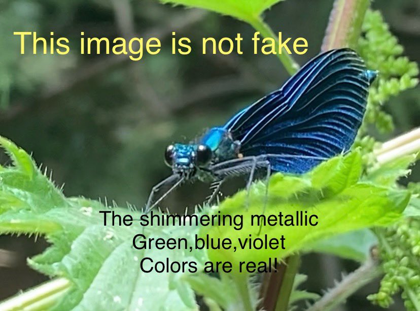 64yks4kc26Human's tweet image. Nature exploiting quantum mechanics and nanotechnology. 😊🏴🇬🇧