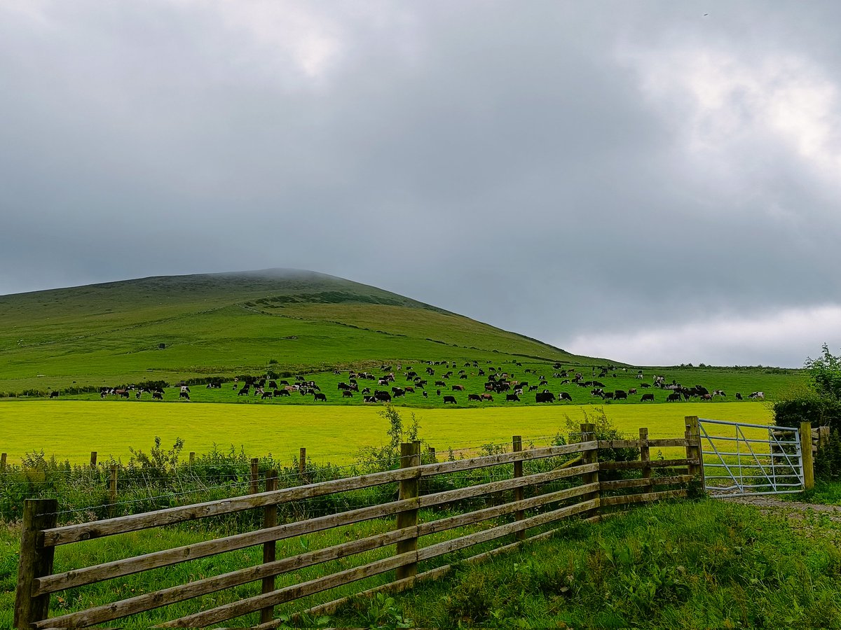 Some growth at the moment!