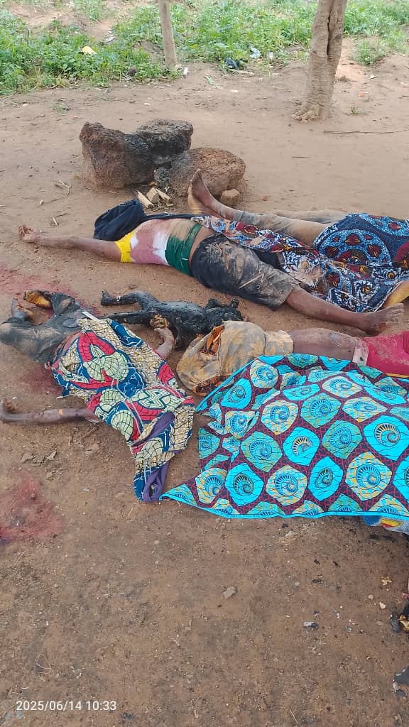 Onsogbu's tweet photo. Dear President Bola Tinubu GCFR @officialABAT

The senseless and unwarranted killings of defenceless Benue state citizens by suspected fulani herdsmen should be looked into or a state of emergency be declared in Benue state..

All stakeholders should be called forth!

This is unacceptable in a modern Nigeria.