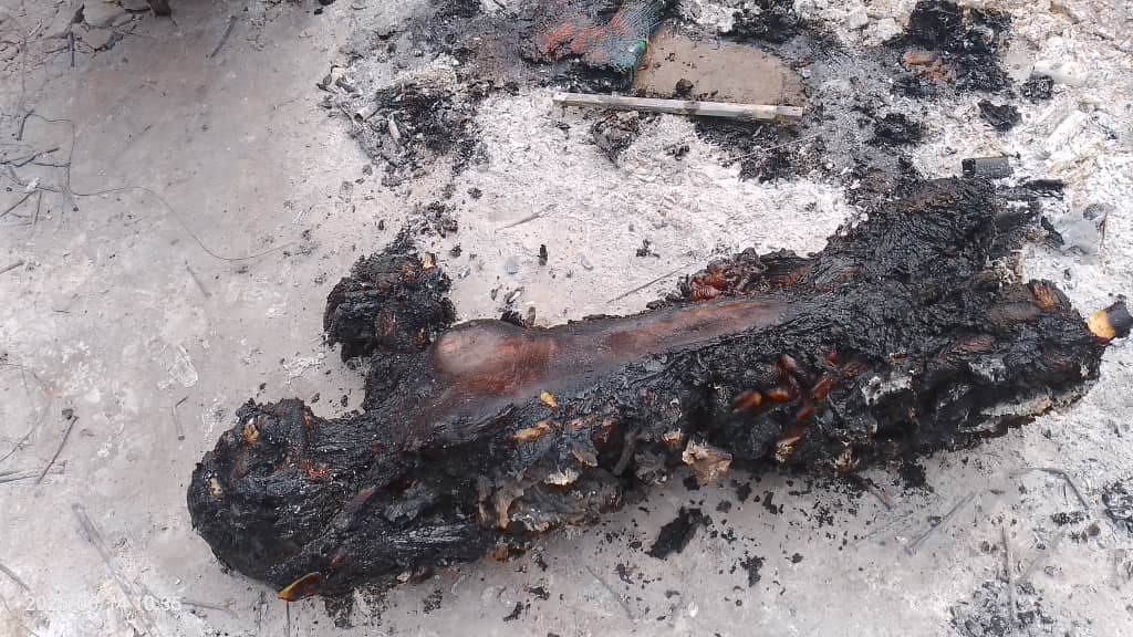 Dear President Bola Tinubu GCFR <a href="/officialABAT/">Bola Ahmed Tinubu</a>

The senseless and unwarranted killings of defenceless Benue state citizens by suspected fulani herdsmen should be looked into or a state of emergency be declared in Benue state..

All stakeholders should be called forth!

This is