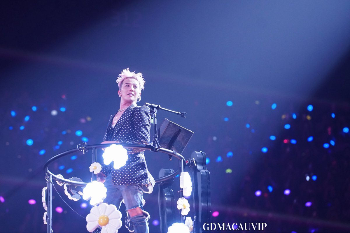 GD MACAU★VIP tweet media