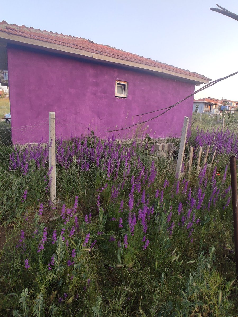 Bu dünyanın sefasını süren
Biri deliler
Biride veli lermiş🥀

Hayır lı vakitlerrr 🪻🪻🪻🪻