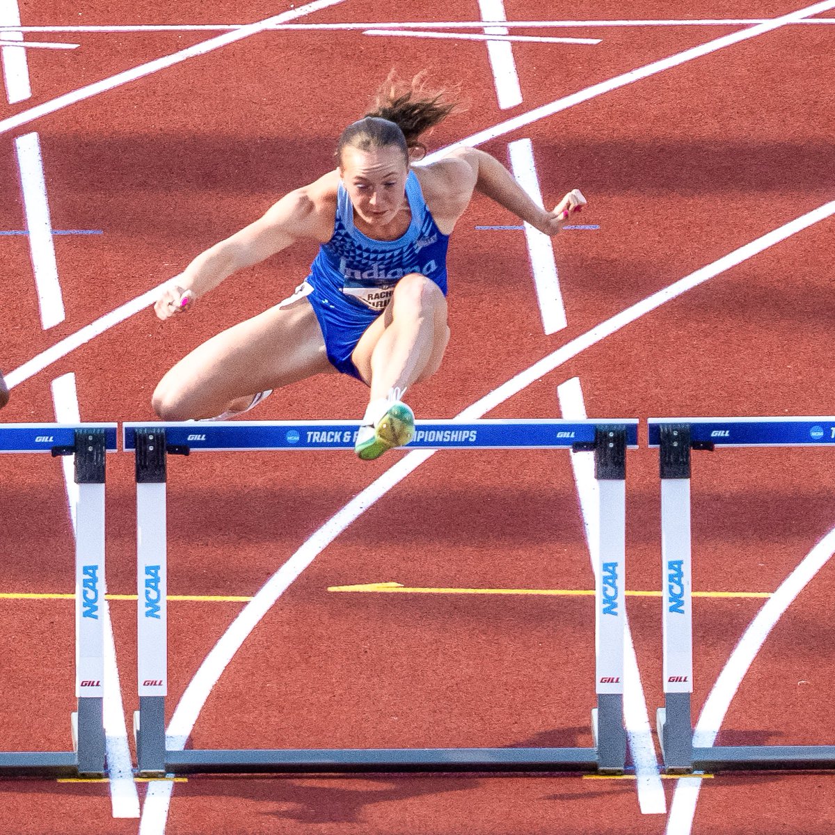 IndStXCTF's tweet photo. Tracktown Trees 🌲

✌️ record-setting seasons for the 🔵 and ⚪️ come to a close at the NCAA Outdoor National Championships

#MarchOn | #StayRooted https://t.co/SppiStNB3z