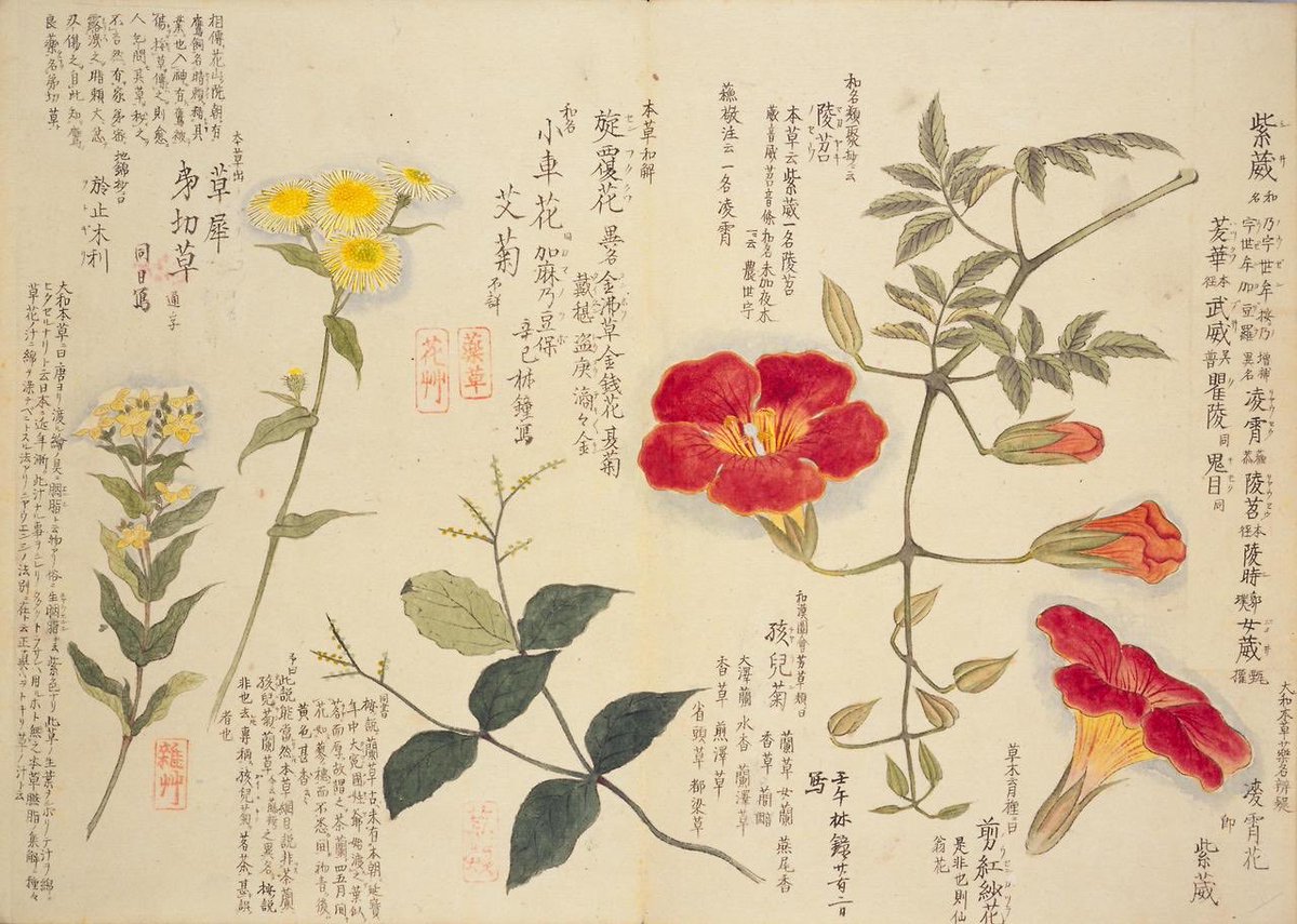 mōri baien（毛利梅園 japanese 1798-1851）