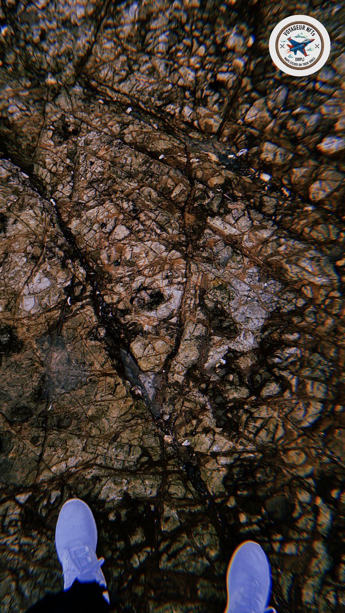 VoyageurNFT's tweet photo. The cracks tell stories, the patterns hold secrets, and the view reminds us of how far we've come.
What do you see in this moment? 🧐
join our discord: https://t.co/bimIle5Rbs
#TravelWithNFTs #VoyageursNFTs #XRP #NaturePatterns #Exploration #travelphotography #Traveling #travellove #TravelogueOutside