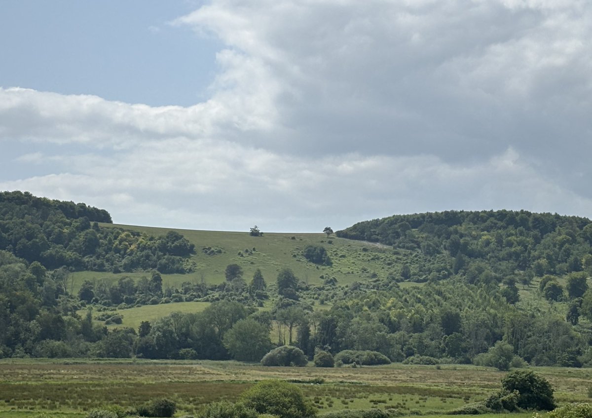 A view unsullied by Ed Miliband solar panels. Glorious. #WestSussex #Countryside #Walking