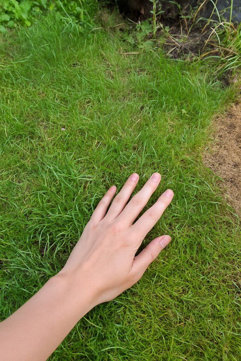 Julius Valentine tweet media